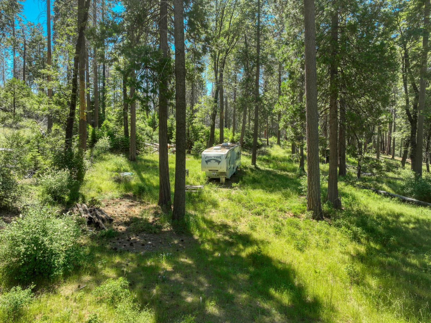 Land in Shaver Lake 2