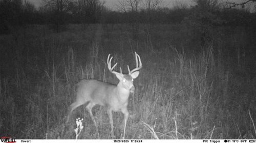 0000 N 3875 Rd, Weleetka, OK, 74880 | Card Image