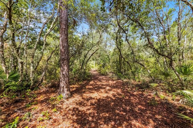 43041 Jewell Dr, House other with 3 bedrooms, 2 bathrooms and null parking in DELAND FL | Image 11