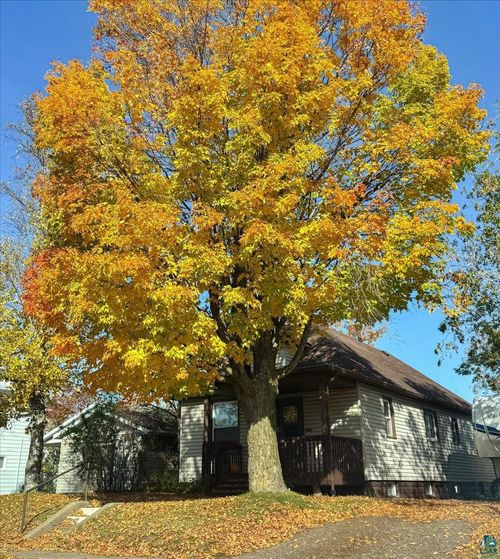 115 1st St, Proctor, MN, 55810 | Card Image