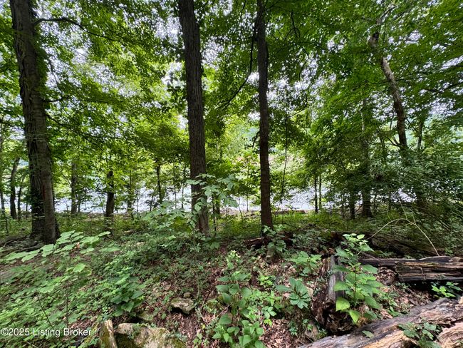 601 Indian Ridge Rd, House other with 4 bedrooms, 3 bathrooms and null parking in Falls Of Rough KY | Image 69