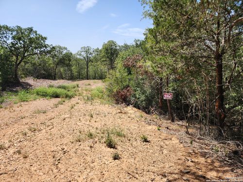 Lot 310 Kalihi Court, Bastrop, TX, 78602 | Card Image