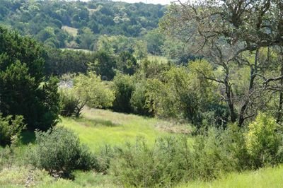 View of local wilderness | Image 2