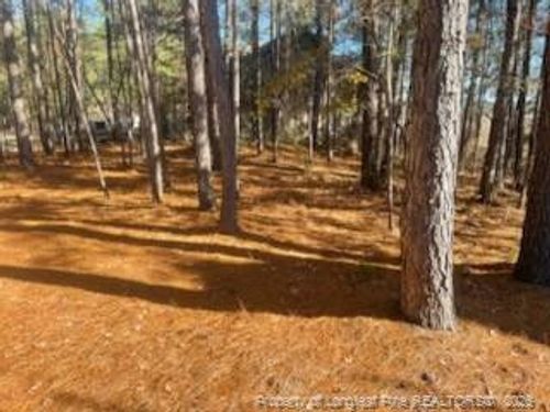 847 Seagull Drive, Vass, NC, 28394 | Card Image