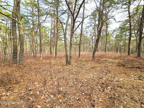 0 Birchwood Dr, Tuckerton, NJ, 08087 | Card Image