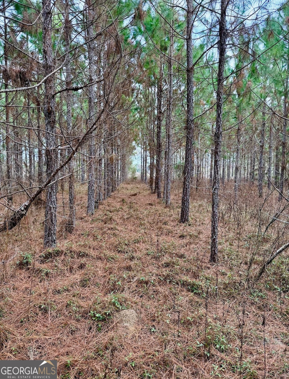 Land in Glennville 3