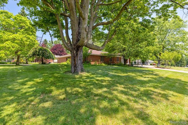 297 Vreeland Dr-5.jpg | Image 4