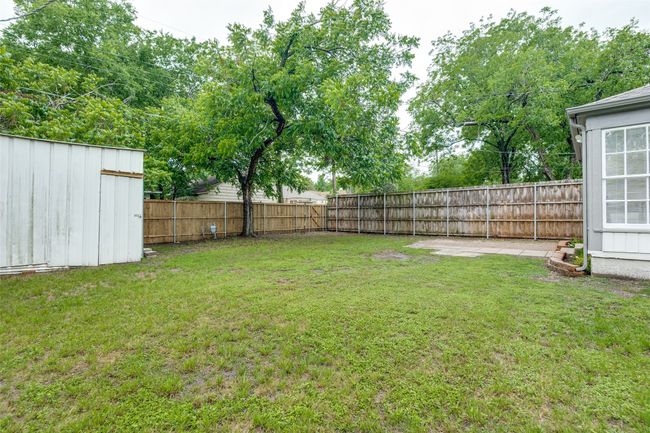 brand new fence, 2025 | Image 23