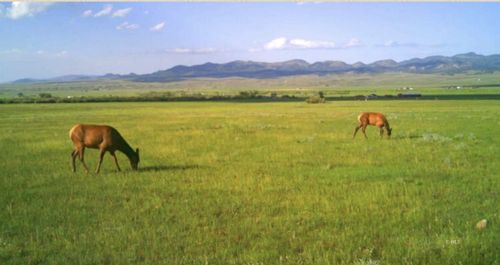 Lot 3 County Road 119, Westcliffe, CO, 81252 | Card Image
