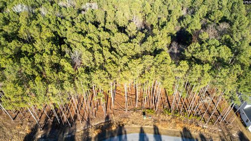 LOT 83 Timber Trail Lane, Prosperity, SC, 29217 | Card Image