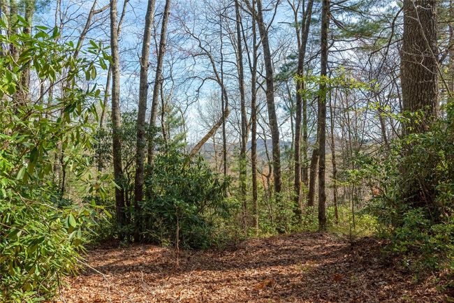 4 Trillium Ridge Rd, Home with 0 bedrooms, 0 bathrooms and null parking in Cullowhee NC | Image 8