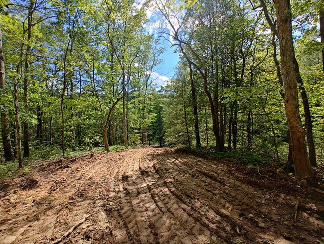 Lot 3 Megan Trace Ln, Home with 0 bedrooms, 0 bathrooms and null parking in Turtletown TN | Image 12
