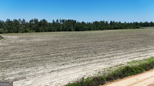 08600022T3 Red Bird Rd, Lumber City, GA, 31549 | Card Image