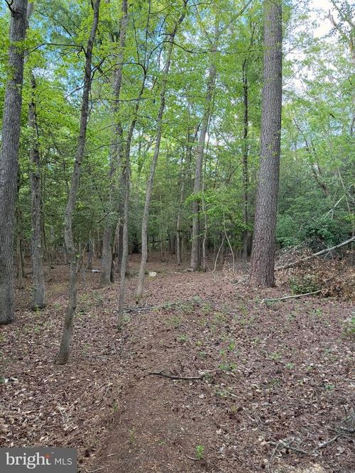 Parcels #82 &amp; #96 Drapers Mill Rd, GOLDSBORO, MD, 21636 | Card Image