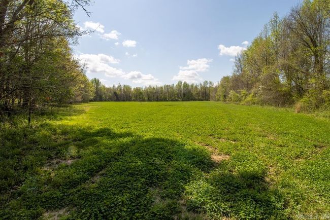 9 County Road 422, Home with 0 bedrooms, 0 bathrooms and null parking in Rector AR | Image 44