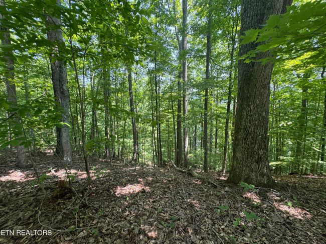 44 Ridgeland Dr, Home with 0 bedrooms, 0 bathrooms and null parking in Sharps Chapel TN | Image 12