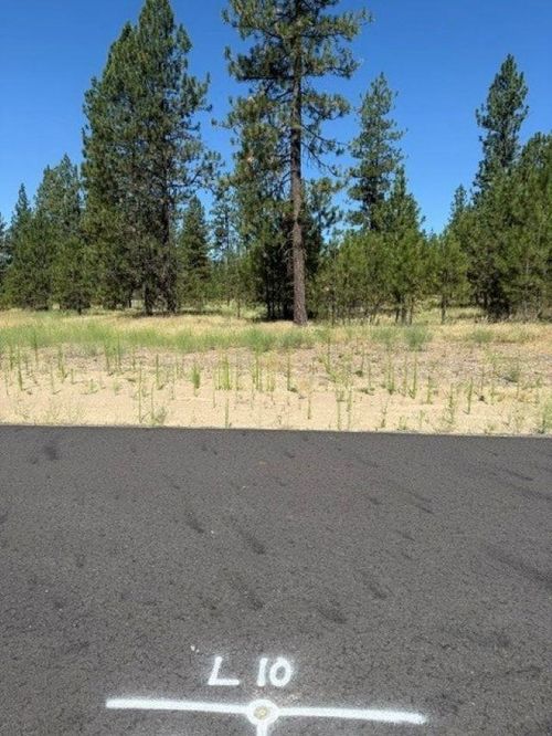 Lot 10 Long Lake Estates Est, Nine Mile Falls, WA, 99026 | Card Image