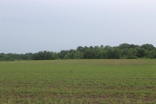 1021 120th Ave, Ogilvie, MN, 56358 | Card Image
