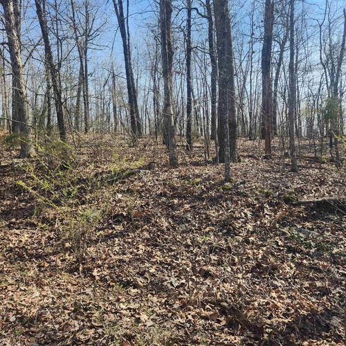 L-4, B-6 Chickasaw Drive, Cherokee Village, AR, 72529 | Card Image