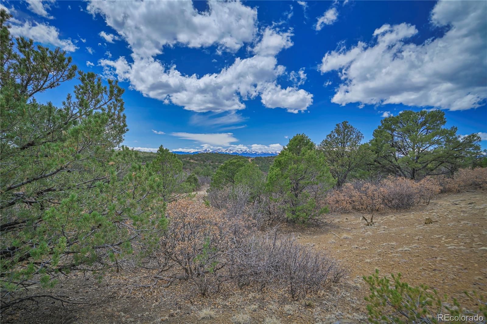 Land in Weston 3
