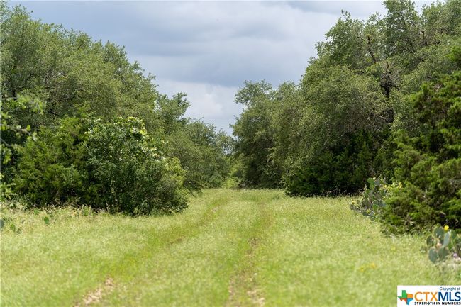 12283 Crows Ranch Rd, Home with 0 bedrooms, 0 bathrooms and null parking in Salado TX | Image 14