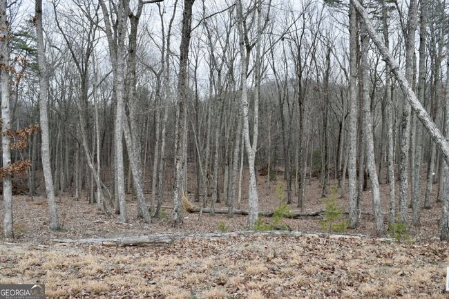 LOT 28 High Summit Dr, Home with 0 bedrooms, 0 bathrooms and null parking in Talking Rock GA | Image 10