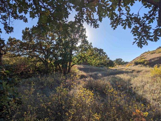 11077 Ridge Rd, House other with 1 bedrooms, 2 bathrooms and null parking in Belle Fourche SD | Image 37