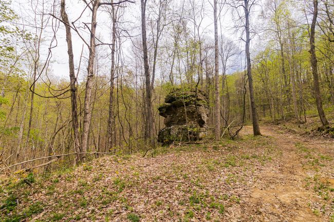 9999 Highway 52 E, Home with 0 bedrooms, 0 bathrooms and null parking in Beattyville KY | Image 53