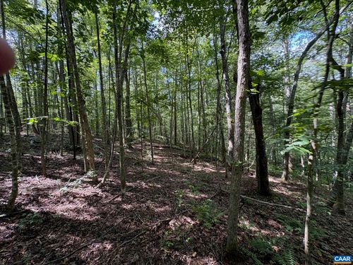 24 Mitchell Mountain Rd, HAYWOOD, VA, 22722 | Card Image