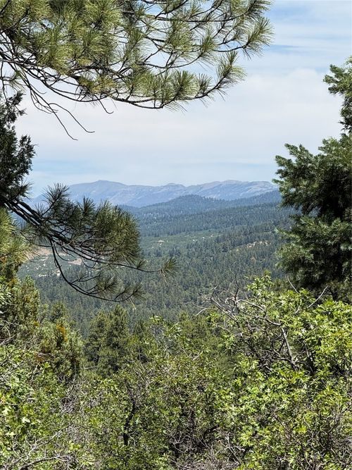 381 Buckman Rd, Chama, NM, 87520 | Card Image