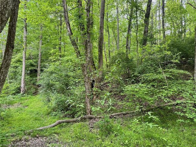 0 Windchester Ln, Home with 0 bedrooms, 0 bathrooms and null parking in Blanch NC | Image 16
