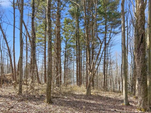 22470 Griffith Road, Logan, OH, 43138 | Card Image