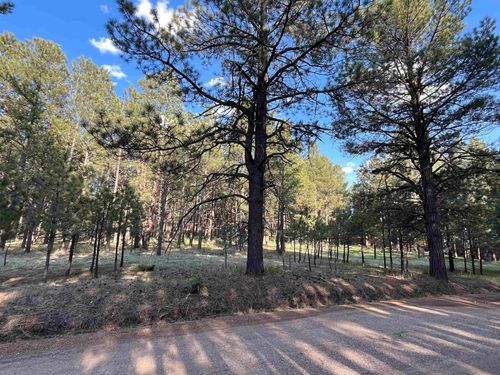 8 Pine Valley Dr, Angel Fire, NM, 87710 | Card Image