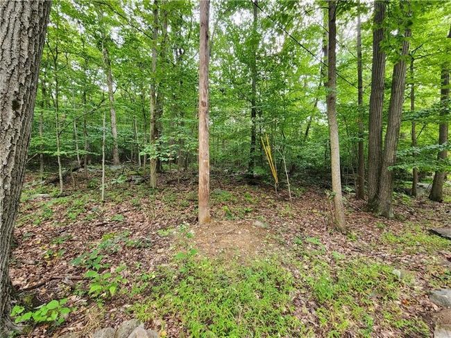 0 Larch Rd, Home with 0 bedrooms, 0 bathrooms and null parking in Acme PA | Image 4