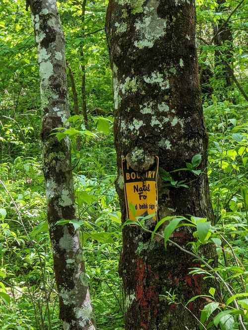 00 Buck Creek Trl, Epworth, GA, 30541 | Card Image