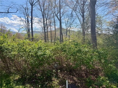 Lot 9 Pasture Ln, Banner Elk, NC, 28604-6432 | Card Image