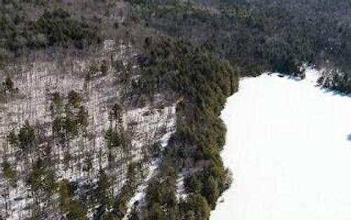 M5L38-1 North Shore Of Center Pond, Sangerville, ME, 04479 | Card Image