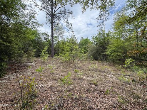 19678 Walsh Road, Fountain, FL, 32438 | Card Image