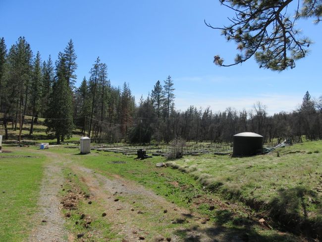 4196 Bald Mountain Rd, Home with 0 bedrooms, 0 bathrooms and null parking in West Point CA | Image 7