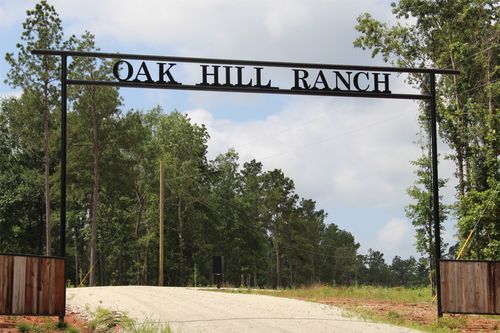 Tract 8 Oak Hill Trail, Kennard, TX, 75847 | Card Image