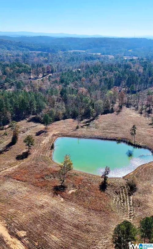 0-0 Gilberts Ferry Road, Ohatchee, AL, 36271 | Card Image