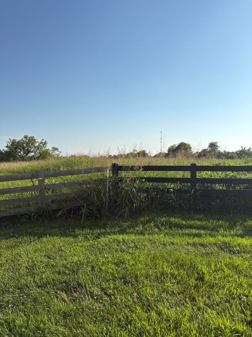 150 Gaines Ave, Owenton, KY, 40359-3040 | Card Image