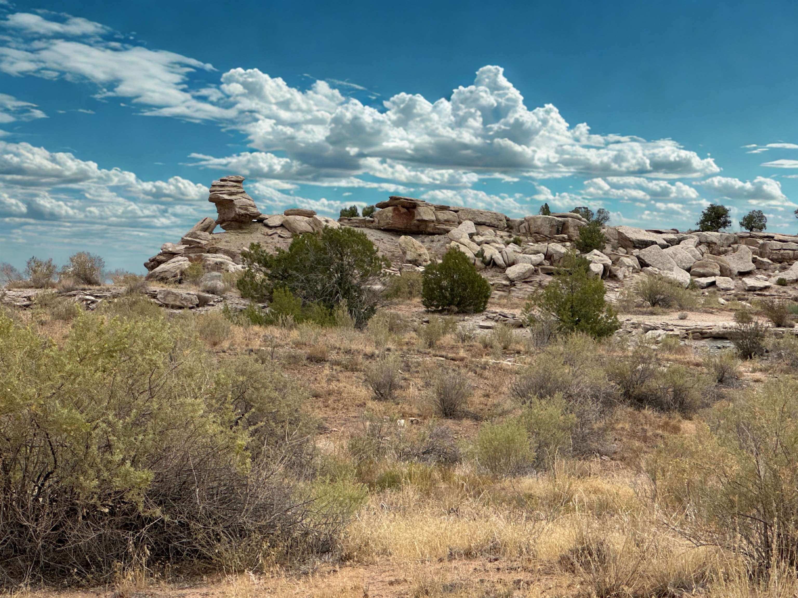 Land in Fruita