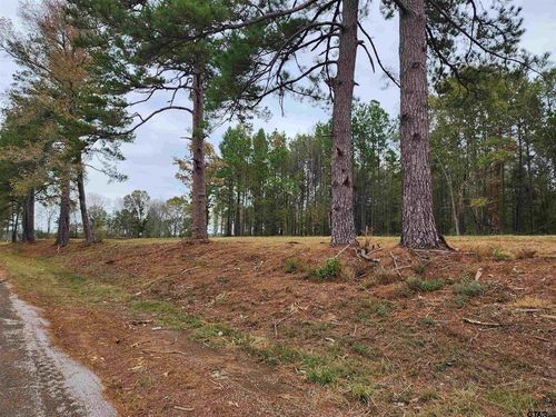 LOT 2 - TBD Ne Cr 363, Winona, TX, 75792 | Card Image