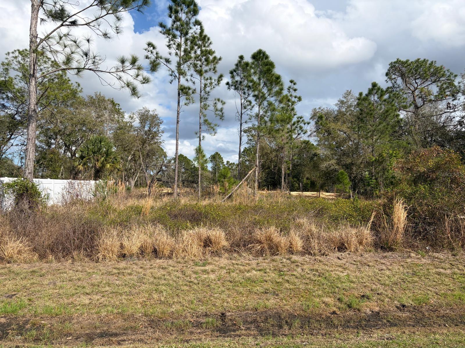 Land in POINCIANA