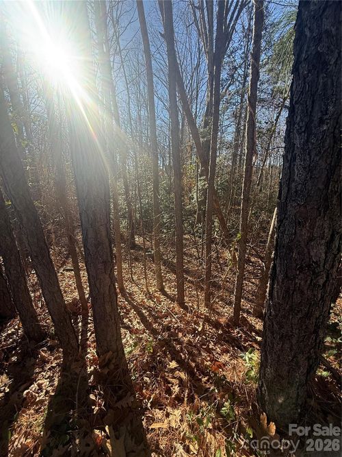14-0 Liledoun Rd, Taylorsville, NC, 28681 | Card Image