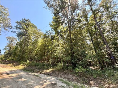 1273 County Road 3140, Colmesneil, TX, 75938-5216 | Card Image