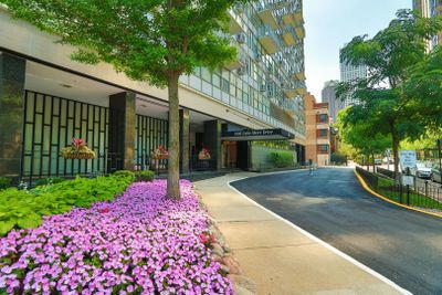 408 - 1000 N Lake Shore Drive, Condo with 2 bedrooms, 2 bathrooms and 1 parking in Chicago IL | Image 2