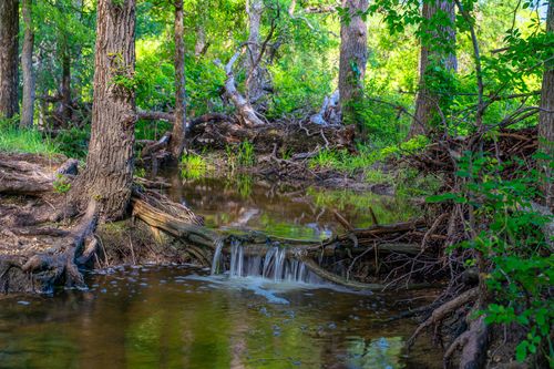 5950 Moccasin Bend Road, Gatesville, TX, 76528 | Card Image