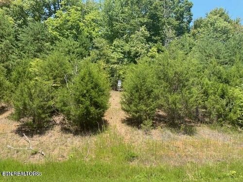492 Citron Ln, New Tazewell, TN, 37824 | Card Image